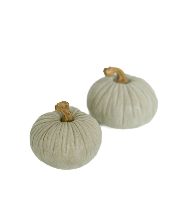 Mini Sage Velvet Pumpkin Set