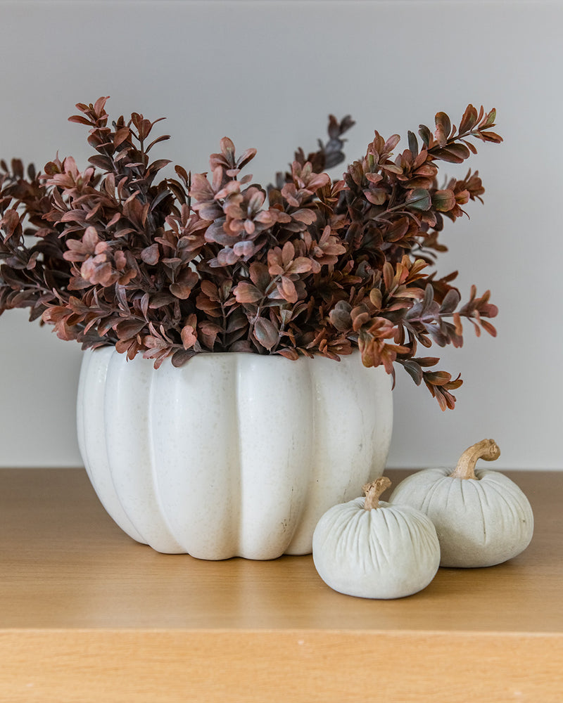 Mini Sage Velvet Pumpkin Set