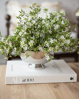 AD at 100 A Century of Style Book