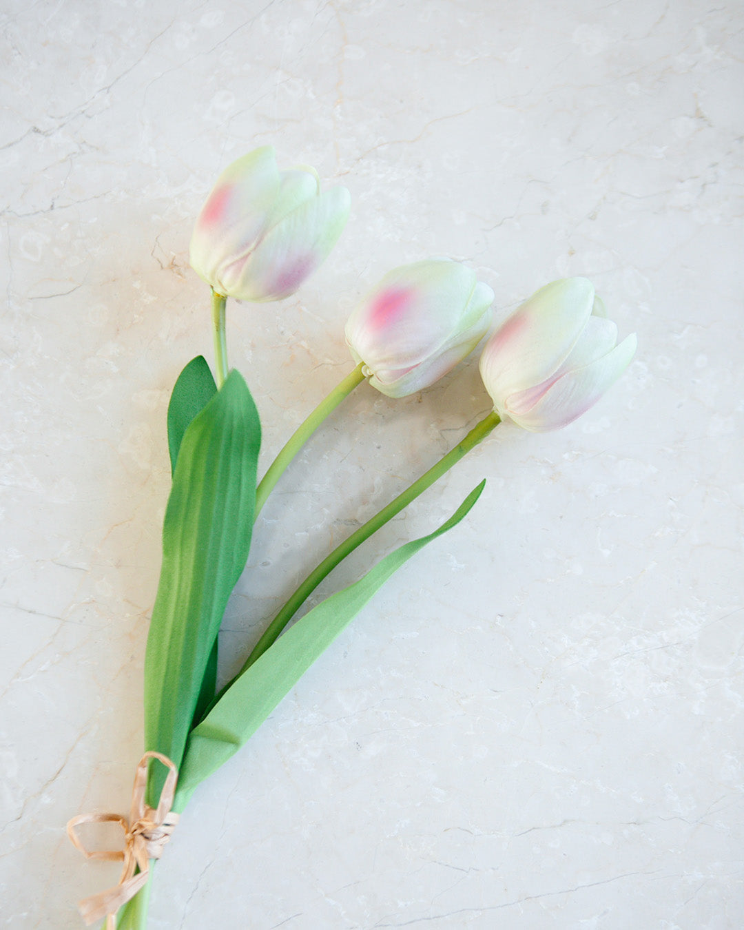 Light Pink Tulip Bundle