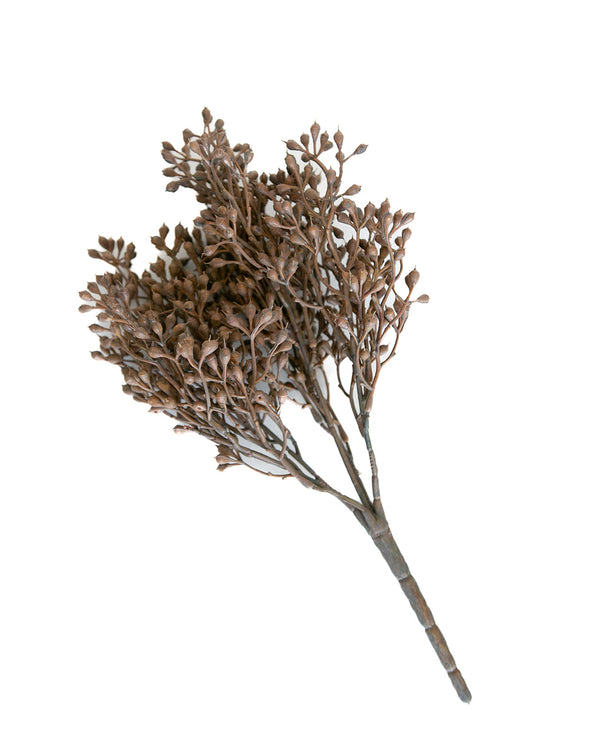 12" Seed Bush