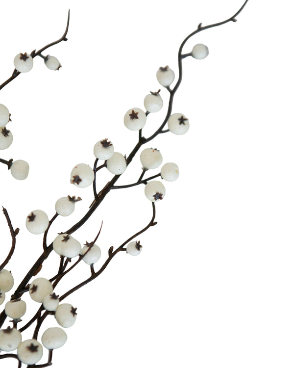 Snowberry Stem