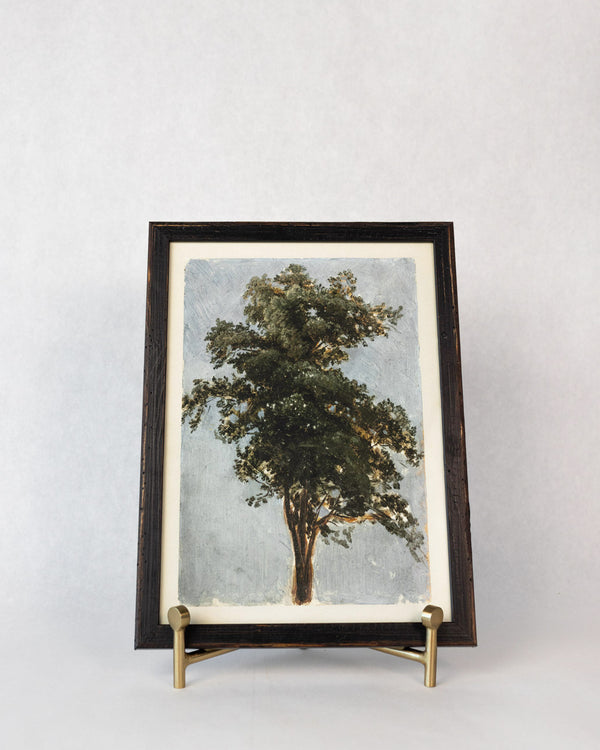 Tree Study Art - Framed