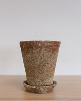 Iris Distressed Cement Planter